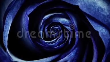 抽象深蓝色柔和的玫瑰花瓣，旋转的花朵，无缝的环.. 罗丝布德旋转的俯视图催眠。